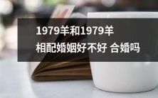 1979年生肖为羊的夫妇进行婚姻配对,是否适宜合婚?