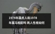 1974年出生的属虎人和1978年出生的属马人是否性格合拍?两个人之间的性格差异如何影响他们的关系?