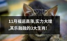 11月里福气高涨,实力大增,与其乐融融的3大生肖相遇啦!