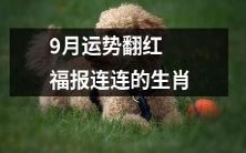 九月运势亮红灯,福报连连,这些生肖最受宠!