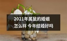 2021年属鼠的婚姻状态如何?是否今年结婚是个好选择?