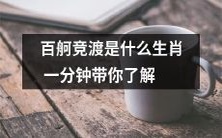 经典中国传统竞渡活动——百舸竞渡各生肖意义一分钟全面揭秘