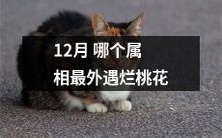 在12月,哪一个属相的外遇和烂桃花最严重?