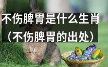 哪个生肖的饮食不会伤害人体的脾胃健康?