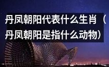 究竟是哪种生肖象征着“丹凤朝阳”?