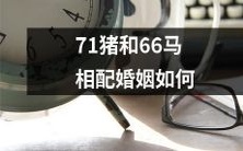 探讨71头猪和66匹马联姻的可行性、利弊与可能的结局