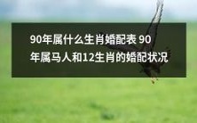 关于90年属马人和12生肖之间婚配情况的详细指南:哪些属相与90年属马者天作之合,哪些属相则应慎重考虑?
