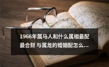 1966年出生的属马人应该与哪个属相最为配对,以获得最佳的财运?属龙的婚姻配对也同样重要,这是怎样的一种情况?