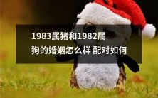 1983年出生的属猪人和1982年出生的属狗人的婚姻如何,他们的配对怎样?