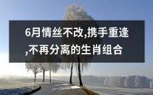 六月情丝永不减,携手重逢生肖组合,终结永别的离别之痛