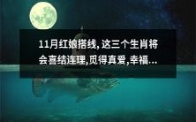 红娘搭线,引领11月真爱相遇:三生肖喜结连理,共同分享幸福甜蜜生活!