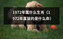 请问1972年所属的生肖是哪一个呢?