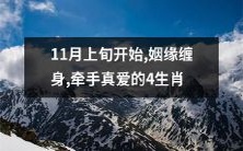 11月开始,深陷姻缘缠身之路,触摸真爱手心的幸运之4生肖
