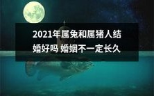 属兔和属猪人在2021年结婚,婚姻的长久性并不保证:探讨姻缘匹配度及婚姻稳定性