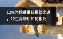 12生肖婚后相处技巧指南:如何实现最佳相处状况?