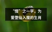 十二生肖中,深陷情爱中堕入仙魔之境的动物,是哪些?