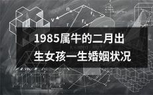 着眼1985年二月出生、属牛的女性,探究其一生婚姻状况的长篇标题:「透视牛年女性命运轨迹:1985年2月出生的女孩的婚姻经历分析」