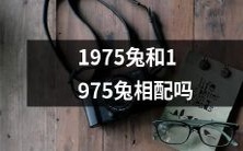 1975年出生的两只兔子是否适合配对?