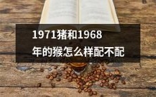 1971年猪和1968年猴之间的组合是否匹配合适?