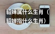 请教一下,根据生肖排列顺序,貂婵属于哪个生肖?