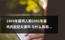 属鸡人1969年和属鸡人1981年是否适合成为夫妻?并探究属鼠、属虎、属蛇等何种属相更加适配