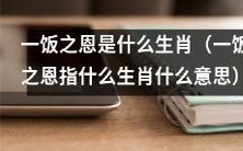 什么生肖代表着“一饭之恩”,该生肖所代表的意义是什么?