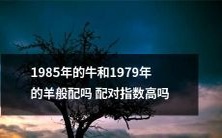 在配对指数方面,1985年的牛和1979年的羊是否具备完美匹配?