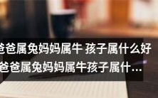 如果父亲是兔子,母亲是牛,那么他们的孩子应该属于哪个属相呢?(If Father is a Rabbit and Mother is a Cow, What Zodiac Sign Should Their Child Belong to?)