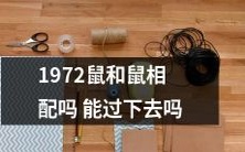 1972年出生的人和鼠年生肖的人是否适合匹配在一起,他们的关系是否能持续下去?