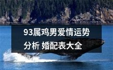 一份详尽的93年属鸡男爱情运势分析婚配表大全,包含细节方案与展望