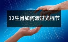 探究12生肖在光棍节期间如何度过愉悦而充实的时光