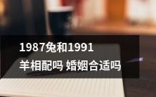 1987年出生的兔和1991年出生的羊是否适合结婚?他们的婚姻是否合适?