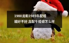 如何评价1988年出生的龙和1985年出生的牛之间的婚姻是否合适,牛和龙的婚姻如何呢?