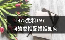1975年的兔和1974年的虎如何适配,让婚姻变得完美?