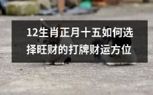十二生肖如何通过选择打牌财运方位来提高财运,在正月十五收获旺财?