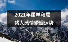 2021年属羊和属猪人在感情婚姻方面的运势展望及趋势分析