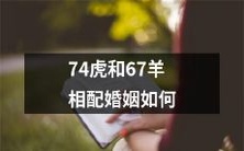 探讨74只老虎和67只山羊之间的婚姻关系及其相容性问题