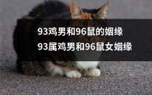 愉快的绝配:怎样93属鸡男和96年鼠女走进美好的姻缘之路