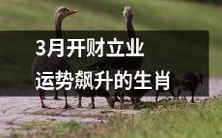 3月财运昌盛,事业蒸蒸日上,运势飙升!以下是12生肖中,运势最为亮眼的几位!