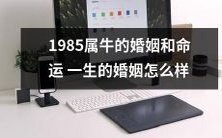 1985年出生的属牛人的婚姻与命运:探究一生的婚姻境况如何?