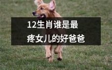 哪个12生肖男性在女儿眼中最令人感到温暖与亲切,成为女儿的最爱和疼爱的好爸爸?