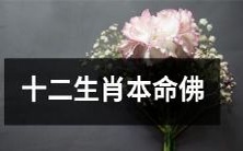 深度解析:根据出生年份选择的十二生肖本命佛,揭示你的命运和人生道路