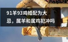 属羊和属鸡的人婚配被视为大忌,但是否真的存在冲突?寻求答案!