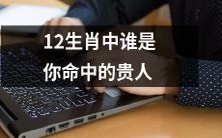 根据12生肖,哪位动物代表你的命运之贵人?