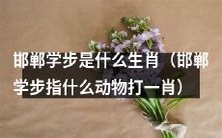 邯郸学步所代表的生肖是什么?