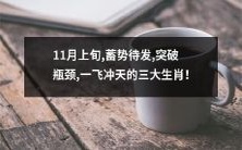 三大生肖在11月上旬蓄势待发,准备突破瓶颈,一飞冲天!