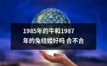 逐字解释:1985年的牛和1987年的兔结婚是否合适或适宜?