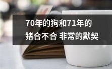70年出生的狗和71年出生的猪之间是否存在非常默契的互动关系?