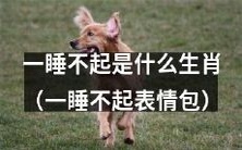 十二生肖中哪个动物爱睡懒觉到一睡不起并演变成表情包?