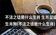 哪些属相可能成为不法之徒?是生肖鼠还是生肖狗?